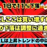 【米国株投資】SOXLは今後も上昇を続けると予想！！1日でSOXLは11%も下落したがここは買い増すだけ！SOXLのチャートを見る限り上昇トレンドの中の調整に過ぎない！SOXL保有者は絶対見てください