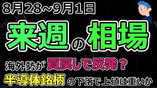 【来週の相場】日本株は売られすぎで海外勢が買い戻しで反発予想。米半導体銘柄の下落で日経の株価は上値が重い展開か