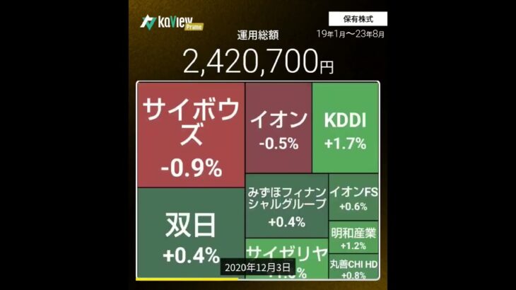 資産運用頑張った結果（日本株）