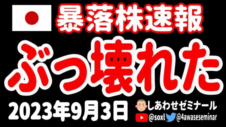 【メチャメチャ😭】破壊されたプリンター状態の日本株12銘柄をランキングで紹介！【9月3日 深夜の日本株ニュース】