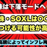 【米国株投資】米国株・SOXLは〇〇月に底をつける可能性が高い！！SOXLは今後上トレンドに乗っかり年末に暴騰すると予想！SOXLが下落したら全力買いを推奨！！SOXL保有者は必ずみて！！