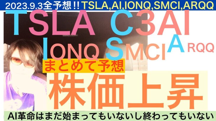 TSLAテスラC3AI,IONQイオンキューSMCI,ARQQ 株価まとめて予想【全力】上昇し出す　ＡＩ革命はこんなもんじゃない