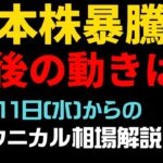 【相場解説】日本株爆上げ！今後の動きは？23.10.11㈬からの相場展望　　３ヶ月でマスターしよう！「初心者向け集中セミナー」を開催します！　詳細は概要欄をご覧ください！