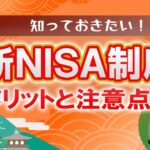 【新NISA制度、簡潔に解説！】！ぶっちゃけ何がメリットで何が注意か？！#nisa #節税