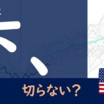 【米国株】S&P500今後は？