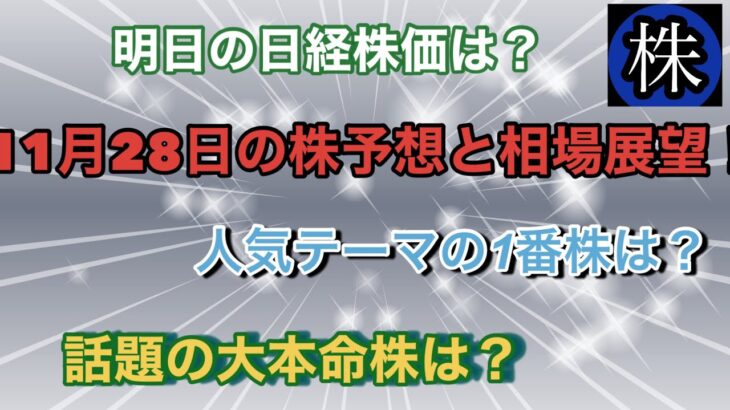 11月28日の株予想