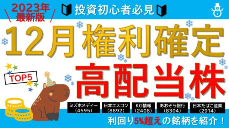 【利回り5％超え！】12月のオススメ高配当株BEST5！【損出しに注意】