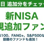 【新NISA】成長&つみたて投資枠の11月追加分のファンドの紹介！(🐸の寸評！)