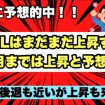 【米国株投資】SOXLはまだまだ上昇すると予想！！これから30$もしくは40$を目指して上昇する可能性が高い！！これから年末にかけての上昇に期待！！SOXL保有者は必ずこの動画を見て！！