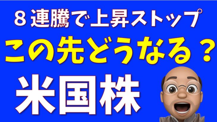 【連勝ストップ】この先どうなる？米国株【S&P500 NASDAQ100】