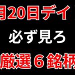 【見逃し厳禁】12月20日の超有望株はコレ！！SEKのデイトレ テクニック