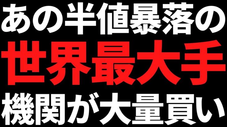 あの半値まで下げまくった世界最大手株ついに有名機関が大量保有！