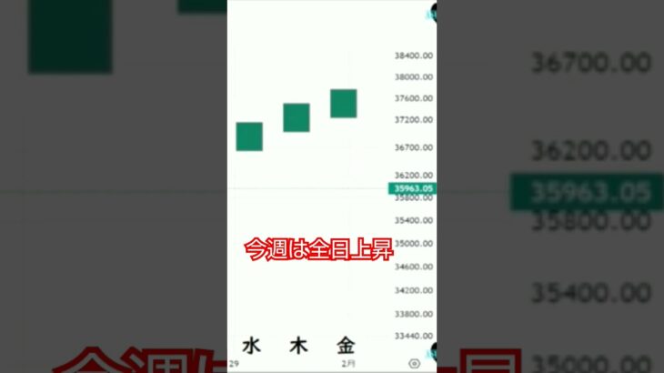 今週の株価予想 2024/1/22~26