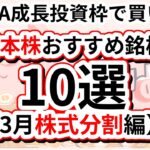 【投資初心者必見】新NISAの成長投資枠で買いたい日本株のおすすめ銘柄10選【3月株式分割編】