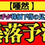 【唖然】あの大手が株価下落の見方堅持で暴落予測。高まる懸念。はたして米国株の行く末は？（米国マクロ経済・米国株投資を投資系Vtuberが徹底解説）