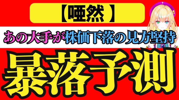 【唖然】あの大手が株価下落の見方堅持で暴落予測。高まる懸念。はたして米国株の行く末は？（米国マクロ経済・米国株投資を投資系Vtuberが徹底解説）