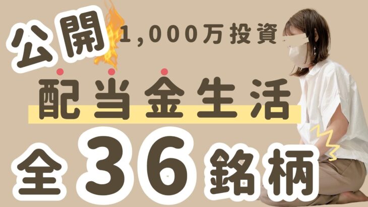 【配当金生活】主婦でも不労所得！日本株・米国株の銘柄・金額を全公開！