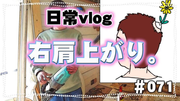 #071 日常vlog 18時間ダイエット中なのにリバウンド気味。ダイエット失敗か？後半は新ＮＩＳＡを始めようとしている様子です。