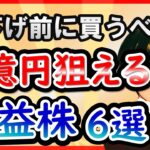 【エヌビディア、グーグルを買え！】⚪︎年で5倍以上爆益が狙える米国株６選！AI関連株を買うテクニックとは！？エヌビディア、イーライリリーによる鉄壁の分散投資について