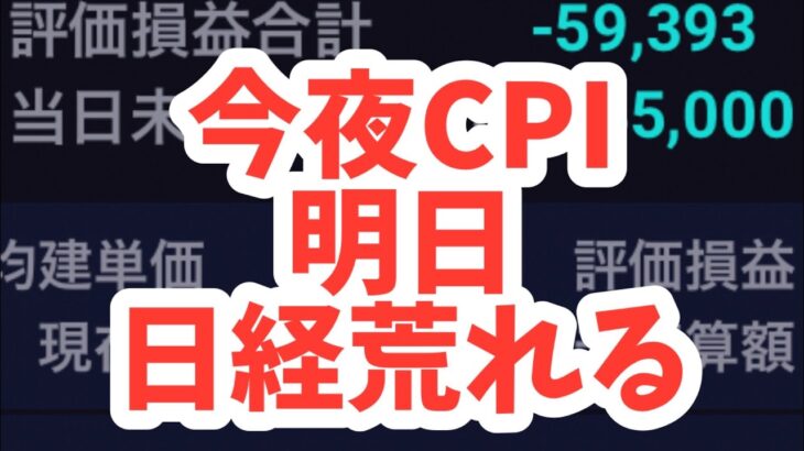 今夜CPI発表！明日の日経荒れる！デイトレ失敗ヤバイ破産する空売り丸焦げ海外勢日本株大量売却「日経平均株価は回復せず、S&P500は10分の1になる？【S&P500依存をやめよ】新NISAの失敗リスク