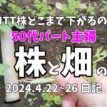 【NTT株買って失敗したかも】2024年4月22日～26日 株と畑と夕食日記・ふるさと納税届く【５０代パート主婦】