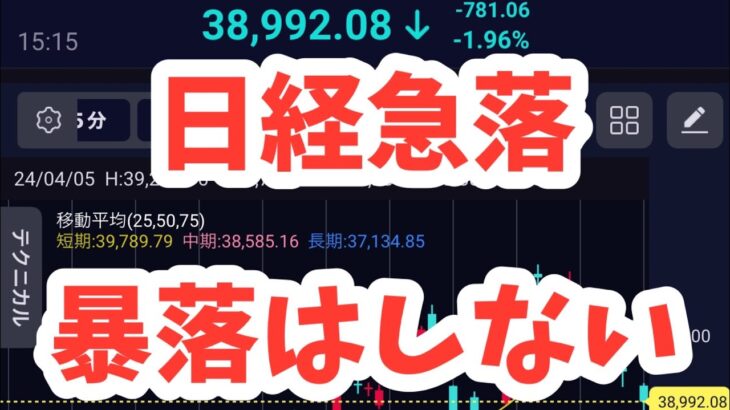 日経平均急落！押し目か？海外機関投資家が日本株大量売却で暴落開始！ヤバイ！売り失敗？破産？「日経平均株価は回復せず、S&P500は10分の1になる？【S&P500依存をやめよ】新NISAの失敗リスク