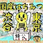 令和６年５月24日　日本政府が保有する日本株ランキング３０位！NISAで爆発的に買われている米国個別株とは？