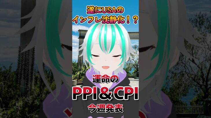 【米国】今週、運命のコアCPI＆コアPPI発表【インフレ沈静化！？】 #vtuber #CPI #PPI  #米国株