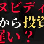 【新NISA】今からエヌビディアに投資をするメリット・デメリット