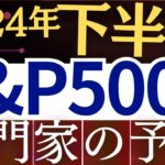 【S&P500より●●株】2024年後半・米国株の今後はどうなる？プロの予想を解説