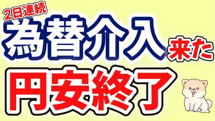 【為替介入】円高確定か？今後の展開｜新NISA民も必見