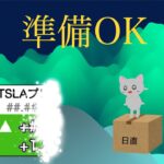 【米国株🇺🇸新NISA】嵐の前の嵐があるのがテスラ！さてさてどうかな　新曲登場ですむずい！【インド, オルカン, S&P500トップ10,野村世界半導体 投資信託】