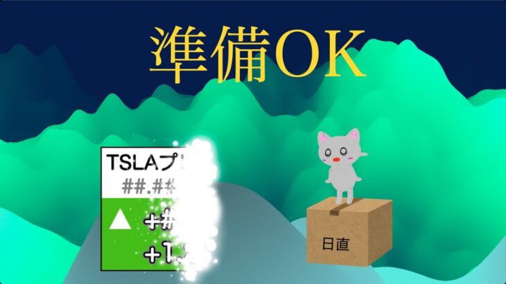 【米国株🇺🇸新NISA】嵐の前の嵐があるのがテスラ！さてさてどうかな　新曲登場ですむずい！【インド, オルカン, S&P500トップ10,野村世界半導体 投資信託】