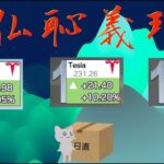 【米国株🇺🇸新NISA】テスラの上昇を祝して万歳三唱、3勝！【インド, オルカン, S&P500トップ10,野村世界半導体 投資信託】