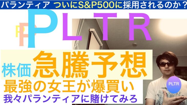 PLTRパランティア 「株価急騰」予想【全力次のテスラ】女王爆買い きっと最高値を超えていく