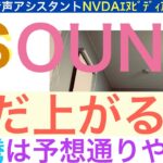 SOUNサウンドハウンドAI「株価急騰は予想通りやで」２倍は余裕【全力次のテスラ】まだ上がるだろうNVDA超えの勢い