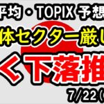 【日経平均・TOPIX】調整が続くと考えられる日本市場、半導体セクターに懸念材料【週間日本株予想 2024/7/22～】