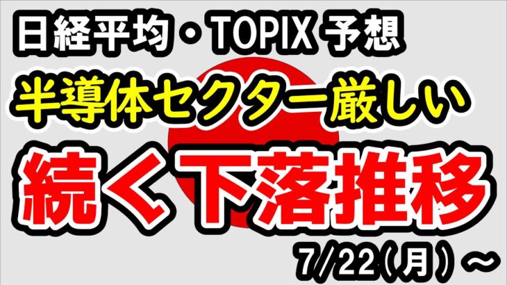 【日経平均・TOPIX】調整が続くと考えられる日本市場、半導体セクターに懸念材料【週間日本株予想 2024/7/22～】