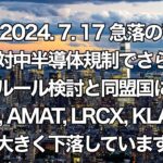 【Vlog311】2024.7.17  米国株最新チャート分析 半導体 ナスダック100 NYダウ S&P500 ラッセル2000 オルカン 全米 FANG＋金融 エネルギー ゴールド ビットコイン