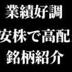 業績好調で割安株な配当12銘柄紹介！新NISA成長投資枠におすすめ【キヤノン/東レ/ブリヂストン/日本郵船/商船三井/住友商事】【Vlog】【保有銘柄/最新情報/高配当/株主優待/NISA/決算】