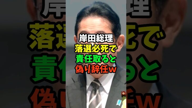 【新NISAで大損失を与えた岸田総理が責任取ると辞任ｗ】#shorts #日本 #海外の反応  #雑学