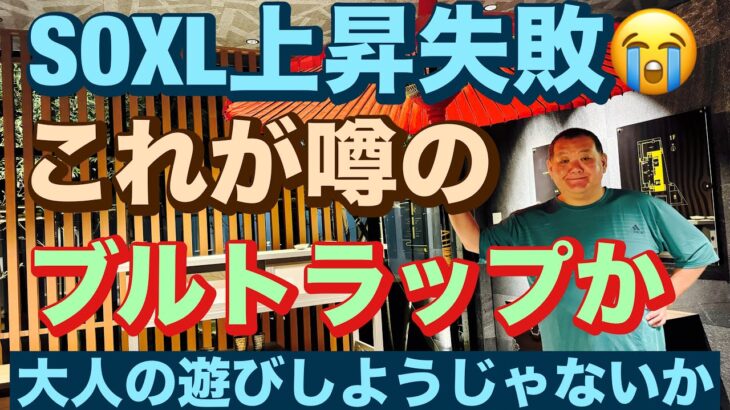 SOXL上昇失敗😭これが噂のブルトラップか😡2024/8/8（木）大人の遊びしょうじゃないか!現物米株取引は大人の嗜みです😇