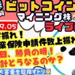 2024/09/05(木)米国株/マイニング株Live🎤ビットコインは雇用統計待ち！重要な局面だけど過度な心配無用か？って話🐥【COIN、MSTR、MARA】【資産6500万円ムクエナガ】