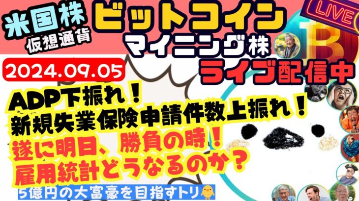 2024/09/05(木)米国株/マイニング株Live🎤ビットコインは雇用統計待ち！重要な局面だけど過度な心配無用か？って話🐥【COIN、MSTR、MARA】【資産6500万円ムクエナガ】