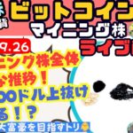 2024/09/26(木)米国株/マイニング株Live🎤ビットコイン65000ドル突破できるか！？仮想通貨関連株ついに爆上げが始まる！？って話🐥【COIN、MSTR、MARA】【ムクエナガ】