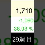 29週目◆日本株ブル4.3倍に100円投資してみた（非推奨） #shorts