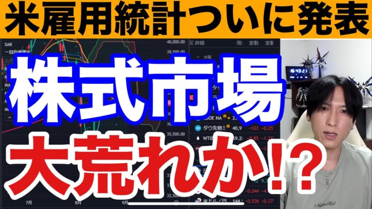 9/6、米雇用統計発表。日本株動くぞ‼円高加速で日経平均急落なんか？ドル円142円推移、半導体株ヤバい。米国株、ナスダックも大荒れか⁉