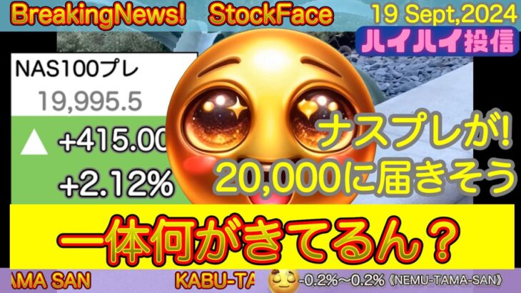 【米国株🇺🇸新NISA】投信ハイハイはここ！　何事！　眠らない、眠らせない！【インド, オルカン, S&P500トップ10,野村世界半導体 投資信託】