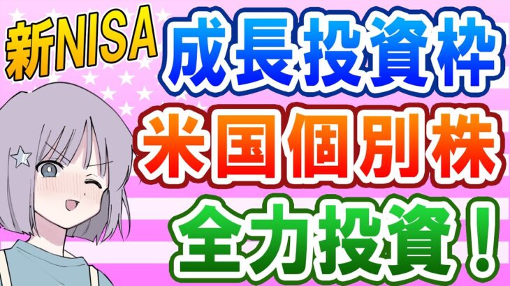 新NISA・成長投資枠は米国個別株に全力投資！！ポートフォリオ、運用実績も公開！！ポートフォリオビジュアライザー（Portfolio Visualizer）でバックテストも！！