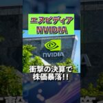 【エヌビディア決算失敗？】人気米国株、NVIDIAが大幅下落！＜アメリカ、S&P500、NVDA #投資 #資産運用